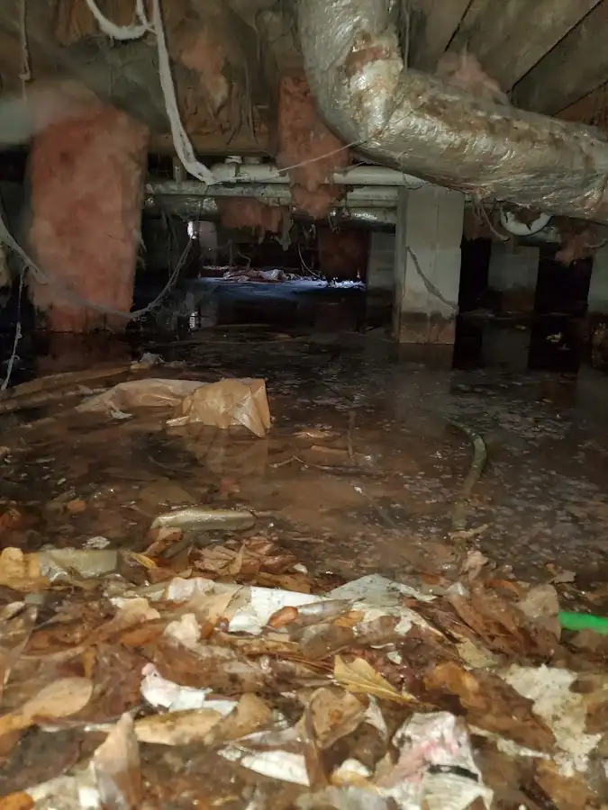 Crawl space flood assessment for Commercial Water Damage Restoration in St. Pete Beach